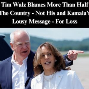 Harris Running Mate Tim Walz Blames Voters, Not A Lousy Message, For Loss