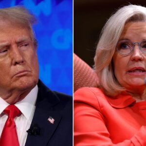 Liz Cheney,President Trump and Republican