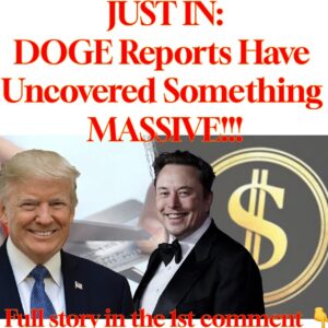 Elon Musk Just Uncovered the “Biggest Fraud in History” – You Won’t Believe This! 😱🔥Details Below!👇