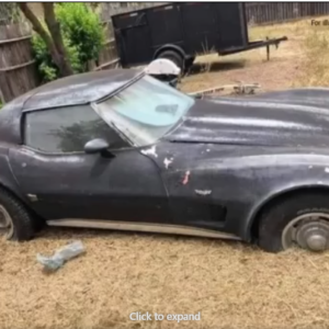 Father gives his daughter an old rusty car, but there’s a surprising twist