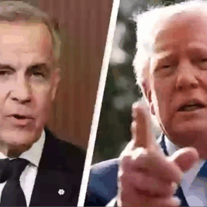 ’51st state’ and Trump’s tariff war: What Canada’s new prime minister means ’51st state’ and Trump’s tariff war: What Canada’s new prime minister means