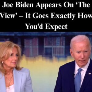 Joe Biden Appears On ‘The View’ – It Goes Exactly How You’d Expect