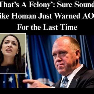 ‘That’s A Felony’: Sure Sounds Like Homan Just Warned AOC For the Last Time ‘That’s A Felony’: Sure Sounds Like Homan Just Warned AOC For the Last Time