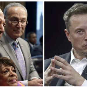 Elon Musk explains the reason why members of congress don’t want to codify DOGE cuts