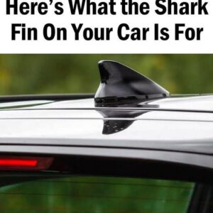 The shark fin on your car serves an important purpose The shark fin on your car serves an important purpose