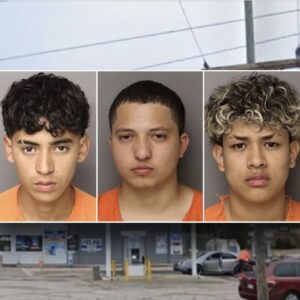 Americans at risk ‘anywhere’ after 6 illegal immigrants are charged in mother’s murder: congressman