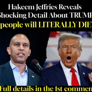 BREAKING NEWS / HAKEEM JEFFRIES: “This [Big Beautiful Bill] – people will LITERALLY DIE.”