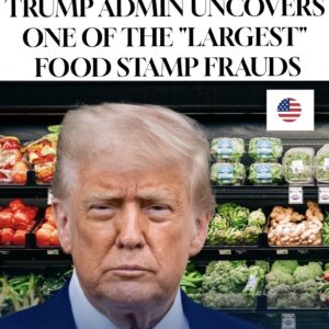 JUST IN! TRUMP ADMIN UNCOVERS ONE OF THE “LARGEST” FOOD STAMP FRAUDS