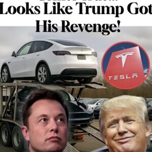 Musk Makes Massive Mistake ! Looks Like Trump Got His Revenge!