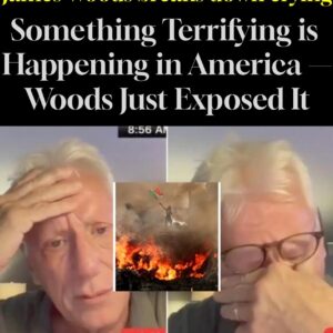 James Woods breaks down crying Something Terrifying is Happening in America Woods Just Exposed It James Woods breaks down crying Something Terrifying is Happening in America Woods Just Exposed It