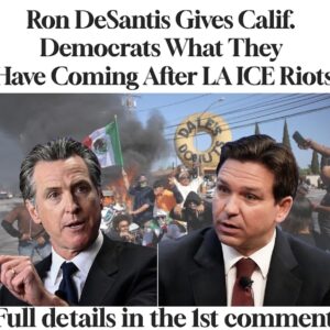 Ron DeSantis Gives Calif Democrats What They Have Coming After LA ICE Riots
