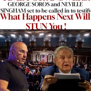 TIME FOR ANSWERS! GEORGE SOROS and NEVILLE SINGHAM set to be called in to testify