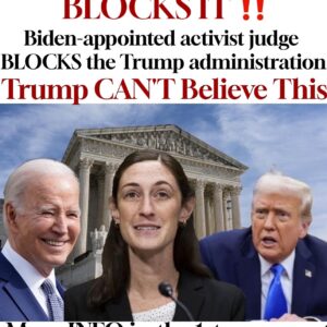 BLOCKS IT !! Biden-appointed activist judge BLOCKS the Trump administration !!
