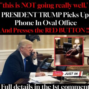 PRESIDENT TRUMP Picks Up Phone In Oval Office And Presses the RED BUTTON !!