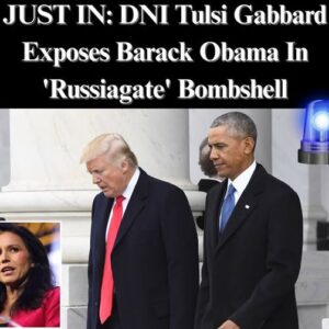 DNI Gabbard Releases Declassified Doc Implicating Obama In ‘Russian Collusion’ Hoax