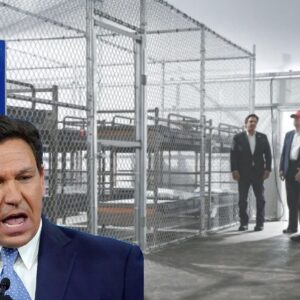 Frustrated Dems Explode After Ron DeSantis Gets SHOCKING Win -They Can’t Stop Him “Illegals Flee Florida in Record Numbers. Frustrated Dems Explode After Ron DeSantis Gets SHOCKING Win -They Can’t Stop Him “Illegals Flee Florida in Record Numbers.