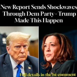 New Report Sends Shockwaves Through Dem Party – Trump Made This Happen