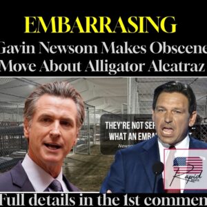 EMBARRASING Gavin Newsom Makes Obscene Move About Alligator Alcatraz
