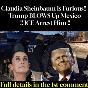 Claudia Sheinbaum Is Furious!! Trump BLOWS Up Mexico !! ICE Arrest Him !!