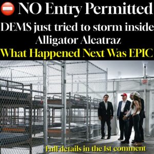BREAKING !! DEMS just tried to storm inside Alligator Alcatraz