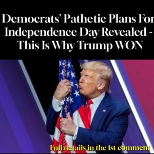 Democrats’ Pathetic Plans For Independence Day Revealed – This Is Why Trump WON Democrats’ Pathetic Plans For Independence Day Revealed – This Is Why Trump WON