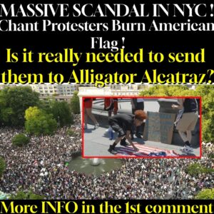 MASSIVE SCANDAL IN NYC! Chant Protesters Burn American Is it really celied to send them to Alligator Alcatraz?