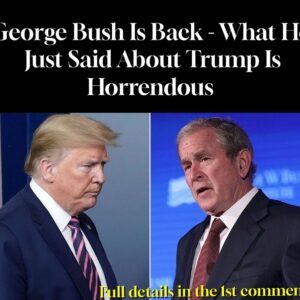 George Bush Is Back – What He Just Said About Trump Is Horrendous
