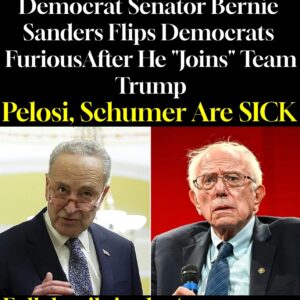 Democrat Senator Bernie Sanders Flips Democrats FuriousAfter He “Joins” Team Trump Pelosi, Schumer Are SICK