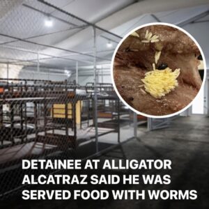 JUST IN / Detainee Speaks Out from “Alligator Alcatraz” — Describes Worm-Infested Food, No Showers, and Lights On 24/7 JUST IN / Detainee Speaks Out from “Alligator Alcatraz” — Describes Worm-Infested Food, No Showers, and Lights On 24/7