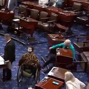 Elizabeth Warren’s clumsy Senate fall goes completely viral !!