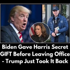 Trump Removes Secret Service Protection For Kamala Harris After Discovery Trump Removes Secret Service Protection For Kamala Harris After Discovery