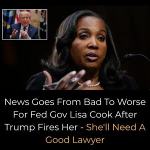 Fed Governor Lisa Cook Hit With More Mortgage Fraud Allegations
