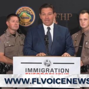 Ron DeSantis Makes Brilliant Move In “Alligator Alcatraz” Case – Judge Can’t Believe It