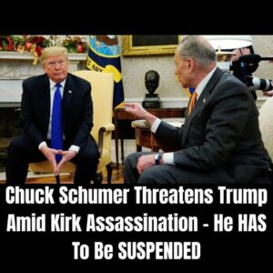 Schumer Threatens to Shut Govt. Down Over Dem Demands
