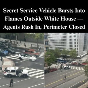Secret Service Vehicle Catches Fire Outside of White House Secret Service Vehicle Catches Fire Outside of White House