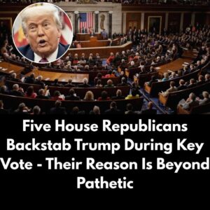 Five Republicans Vote to Block Motion to Censure NJ Dem Charged With Striking ICE Officer Five Republicans Vote to Block Motion to Censure NJ Dem Charged With Striking ICE Officer