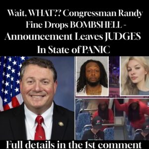 Congressman Randy Fine (R-FL) is introducing a bill aimed at holding accountable any judge who frees violent..