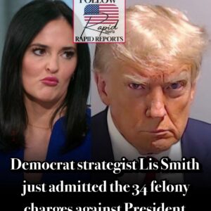 Democrat strategist Lis Smith just admitted the 34 felony charges against President Trump were part of the..