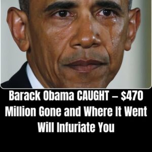 Obama Presidential Center’s 0 Million Pledge To Protect Taxpayers Is Nearly Empty