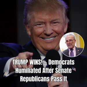 President Trump Wins !! Democrats Humiliated After Senate Republicans Pass It