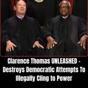 Clarence Thomas Destroys Another Racial Argument At Supreme Court Clarence Thomas Destroys Another Racial Argument At Supreme Court