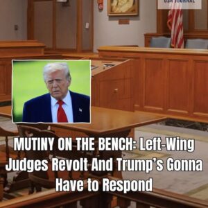 Federal Judges Now Blaming Trump,SCOTUS For Problem THEY Created – It Need To Be FIXED Now