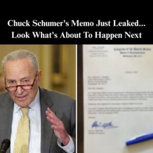 Senate Minority Leader Chuck Schumer’s Memo Just Leaked… This is a BOMBSHELL Senate Minority Leader Chuck Schumer’s Memo Just Leaked… This is a BOMBSHELL