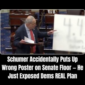 Schumer Accidentally Puts Up Wrong Poster on Senate Floor – He Just Exposed DEMS REAL Plan