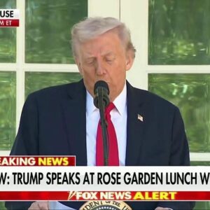 BREAKING from the Rose Garden: President Trump just dropped a hammer on Chuck Schumer and the Democrats —