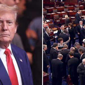 SENATE Just Voted 52-48 !! Four Republicans Backstab Trump Vote With DEMS SENATE Just Voted 52-48 !! Four Republicans Backstab Trump Vote With DEMS