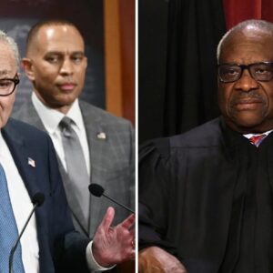 Dems Stand to Lose Dozens of Congressional Districts at SCOTUS Dems Stand to Lose Dozens of Congressional Districts at SCOTUS