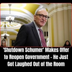 ‘Shutdown Schumer’ Makes Offer to Reopen Government – He Just Got Laughed Out of the Room