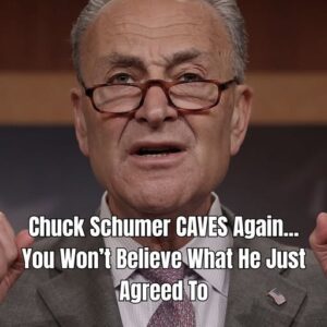 Senate Minority Chuck Schumer CAVES Again..You Won’t Believe What He Just Agreed To