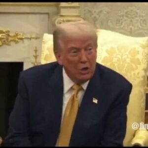 “TRUMP JUST NAMED OBAMA” ! The leader of the gang was..!! “TRUMP JUST NAMED OBAMA” ! The leader of the gang was..!!